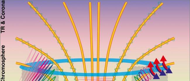 A cartoon representation of a sunspot umbral atmosphere demonstrating a variety of shock phenomena. A side-on perspective of a typical sunspot atmosphere, showing magnetic field lines (orange cylinders) anchored into the photospheric umbra (bottom of imag