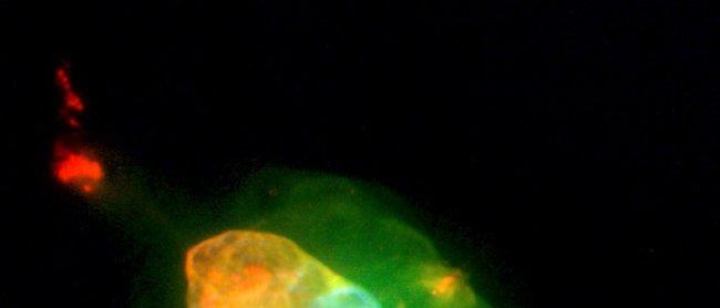 La Nebulosa Saturno revela su complejidad