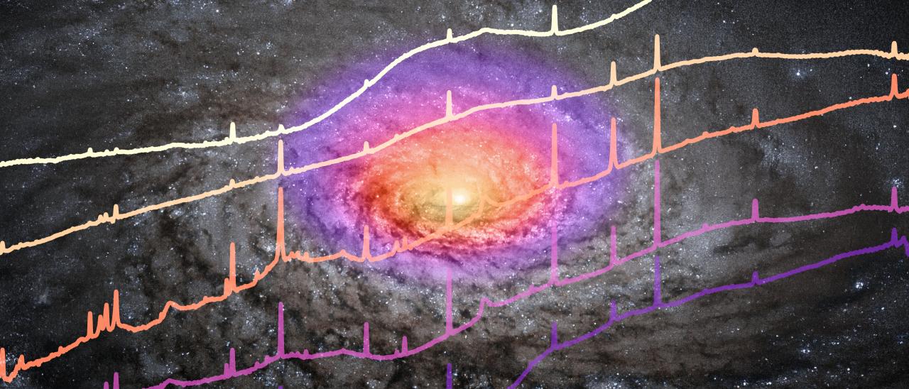Espectros infrarrojos de la región central de cinco cuásares observados con el JWST 