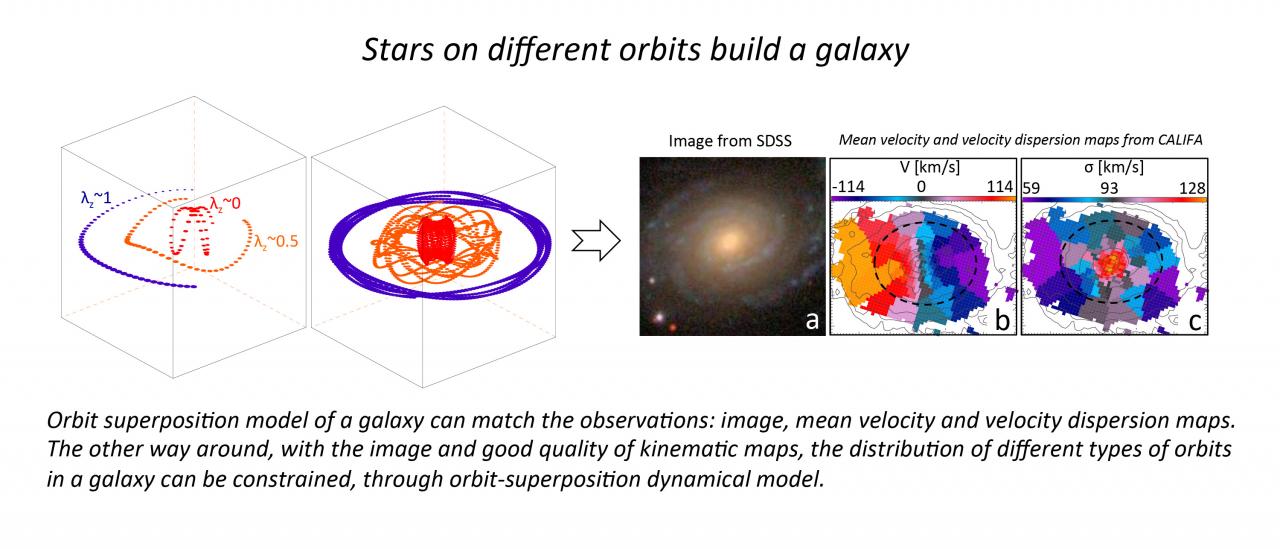 Estrellas en diferentes órbitas construyen una galaxia. 