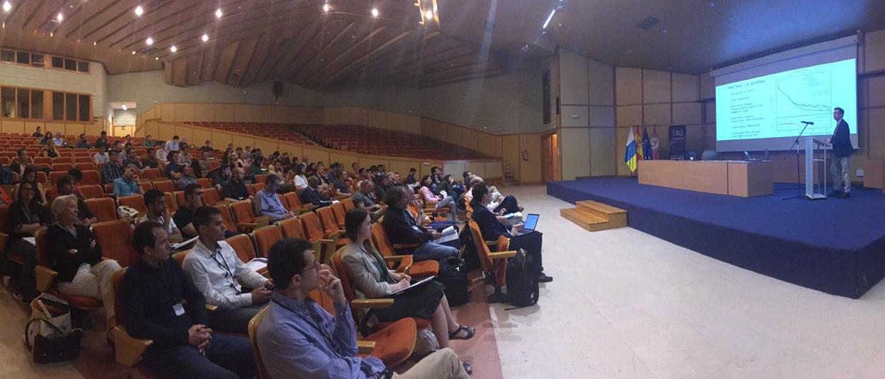 IAU Symposium 355 attendees