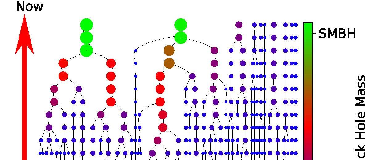 Esquema de evolución de un agujero negro de masa intermedia