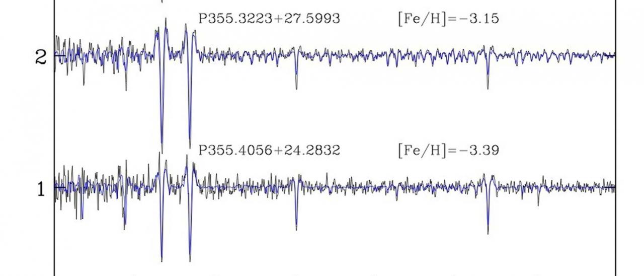 Spectra of the C-19 member stars observed with OSIRIS, normalized using a running mean filter after removing the velocity signal in the rest frame (black lines), together with the best fit (blue lines) derived by adopting a fitting procedure. The metallicity, [Fe/H], computed from [M/H] and [Ca/H] is also indicated for each star.