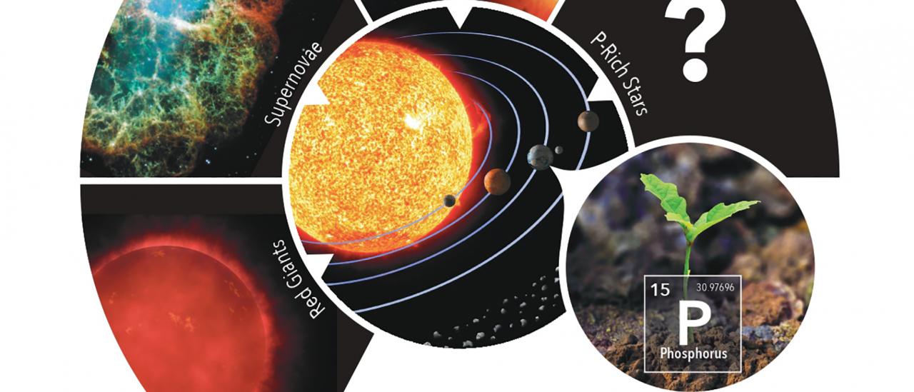 Scheme which represents the origin of phosphorus on Earth, with respect to possible stellar sources of phosphorus in our Galaxy. Credit: Gabriel Pérez Díaz, SMM (IAC).