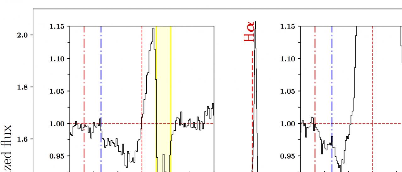 The changing look optical wind of the flaring X ray transient