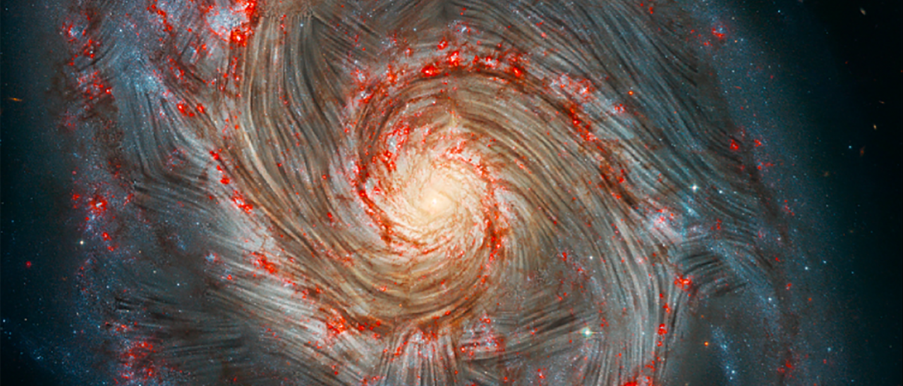 Las líneas de corriente del campo magnético detectadas por SOFIA se muestran sobre una imagen de la galaxia Remolino (M51). Crédito: NASA, el equipo científico de SOFIA, A. Borlaff; NASA, ESA, S. Beckwith (STScI) y el Hubble Heritage Team (STScI/AURA).