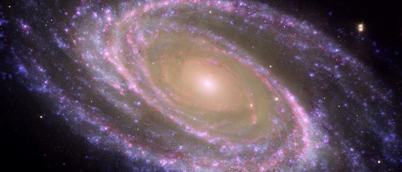 Ejemplo de galaxia espiral cercana, M81, donde se identifica fácilmente el bulbo, la parte central más rojiza, y el disco, plagado de zonas donde se forman estrellas actualmente y aparecen como regiones azules formando brazos espirales. Crédito: NASA/JPL-Caltech/ESA/Harvard-Smithsonian CfA.