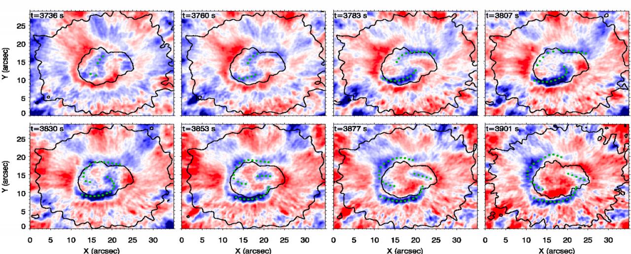 Evolución temporal del frente de onda espiral observado en la fotosfera de una mancha solar.