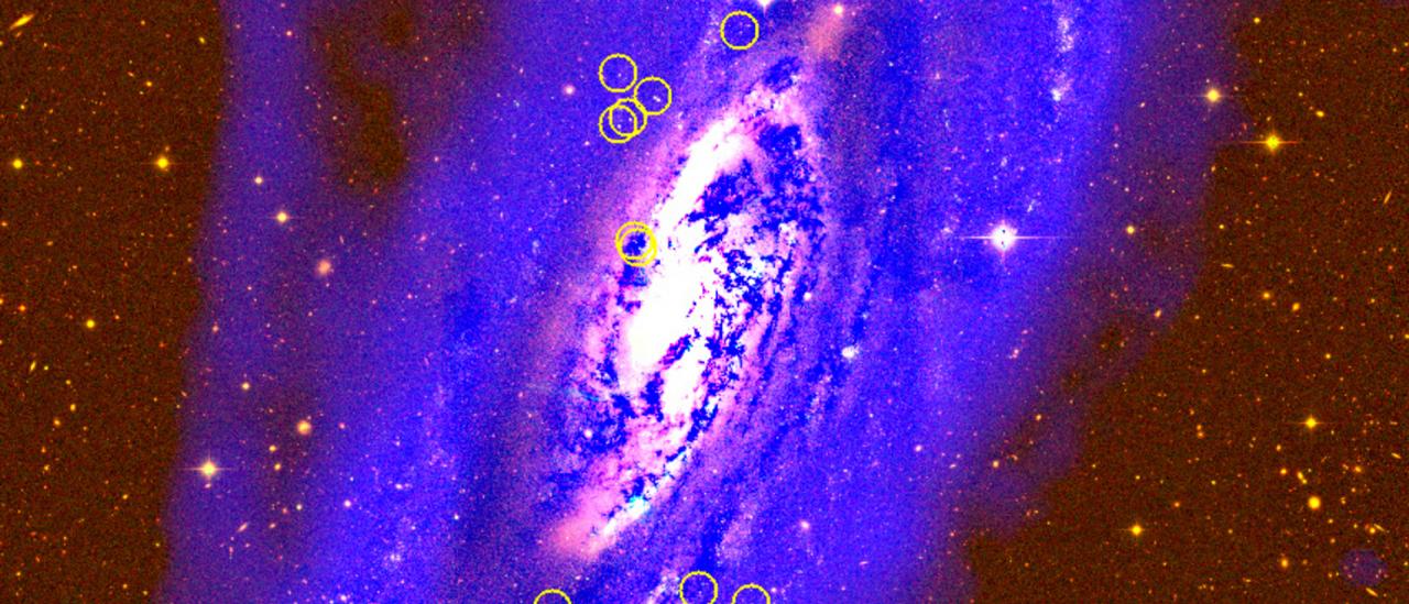 False color image of M106. Credit: Divakara Mayya (INAOE). 