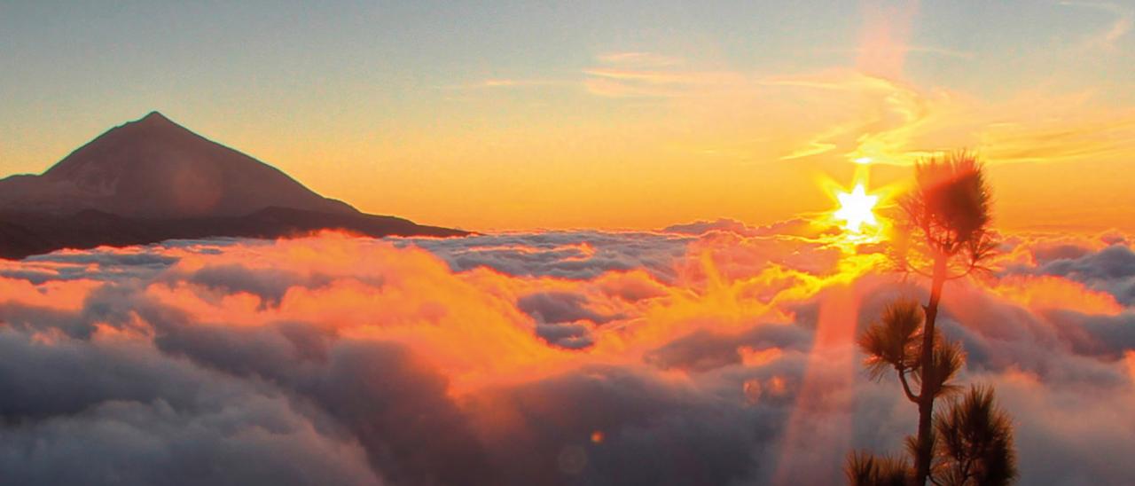 The book cover of “Observing the Sun from Tenerife