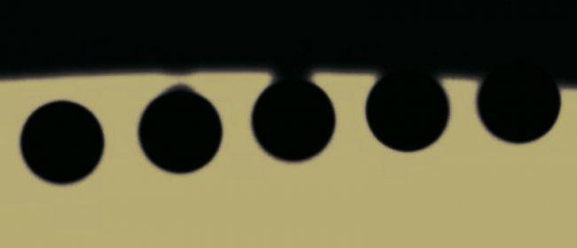 Figure 1. Black drop effect during contact inside the transit of Venus June 2004. Although the effect is less visible in the transits of Mercury it can also be seen just in the second and third contact (credits J.C. Casado starryearth).