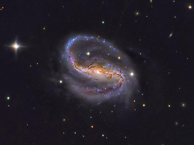 Barred spiral galaxy NGC 7479 located in the Pegasus constellation about 105 million light years and discovered in 1784 by the German astronomer William Herschel. Its central bar is highlighted and very luminous. Credit: Daniel López/IAC.