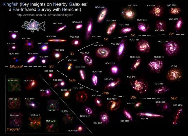 The radio observations were based on the KINGFISH (“Key Insights on Nearby Galaxies: a Far-Infrared Survey with Herschel”) sample of galaxies. The compilation shows composite infrared images of these galaxies created from Spitzer (SINGS) and Herschel (KIN