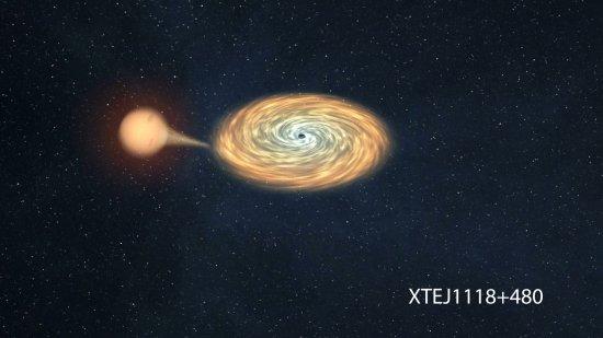 In this picture the binary system XTE J1118+480 is depicted, with the companion star falling to the black hole. Credit: Gabriel Pérez (SMM-IAC)