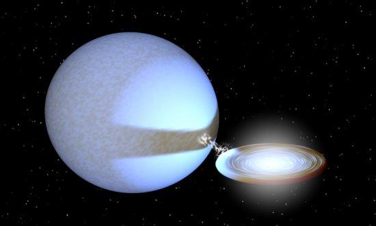 Simulation of the ultraluminous X-Ray source ULX P13. Crédits: Image created by Tom Russell (ICRAR) using the software created by Rob Hynes (Louisiana State University).