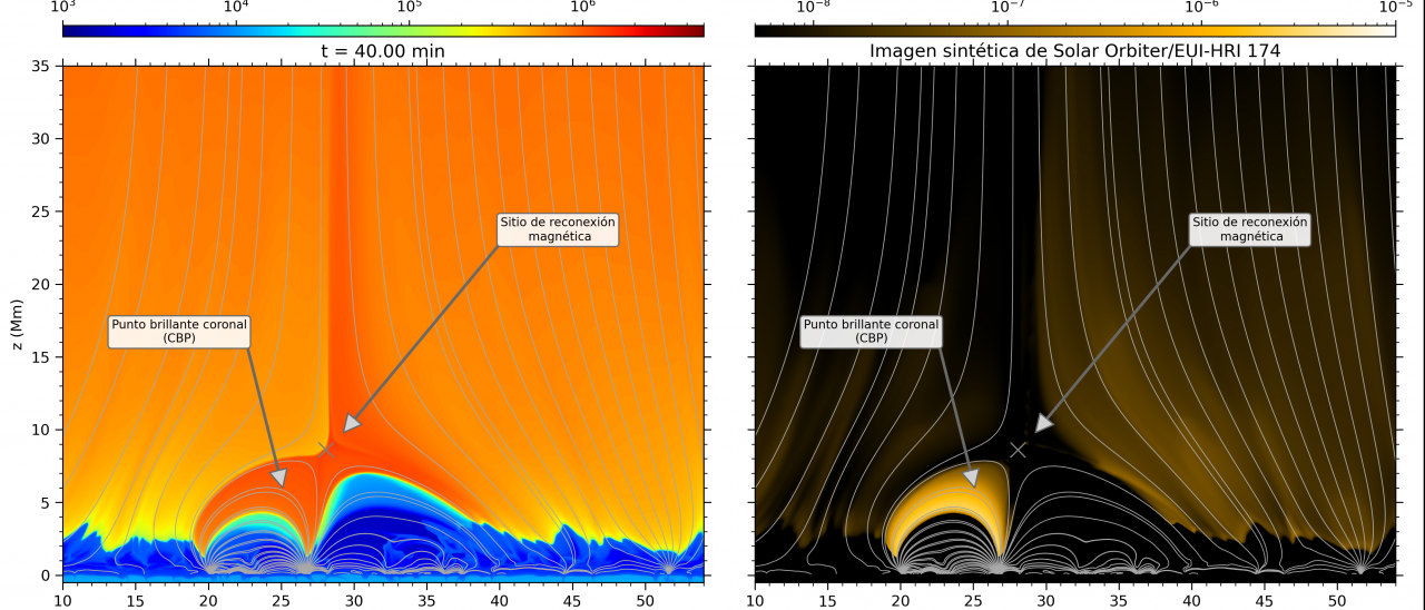 Contexto del modelo a través de un mapa de la temperatura (izquierda) y una imagen sintética de cómo se vería en el extremo ultravioleta con la misión Solar Orbiter/EUI-HRI 174 (derecha)