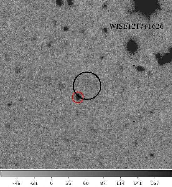 Image en banda z of a Y dwarf, WISE1217+1626. The red circle indicates the position of the Y dwarf on the GTC image whereas the black circle denominates the position of the discovery image. 