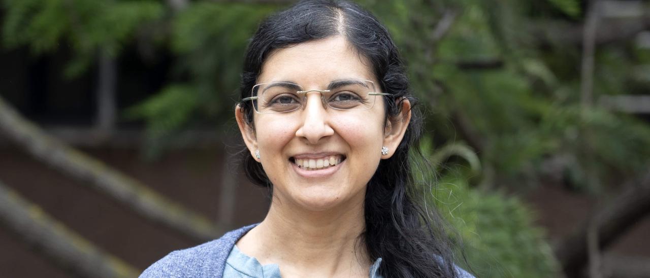 Savita Mathur, investigadora del Instituto de Astrofísica de Canarias y responsable del proyecto MELODY, reconocido con una ERC Advanced Grant.