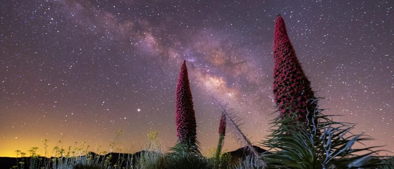 Cielo nocturno