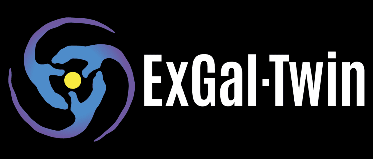 ExGal-Twin: Excellence in Galaxies - Twinning the IAC