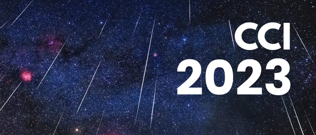 CCI Annual Report 2023