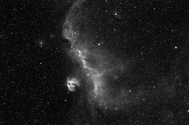 BIA_0096