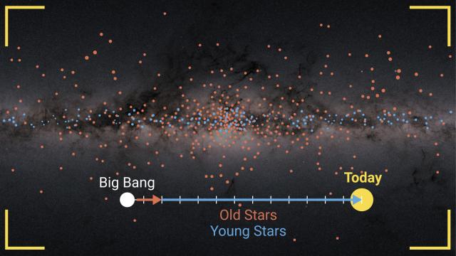 Distribution and arrangement of stars in the Milky Way’s disc