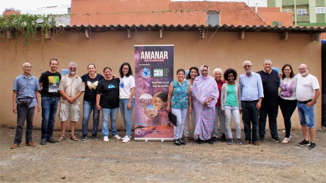 Amanar