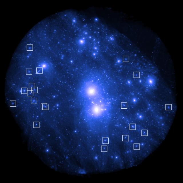 Dark galaxies in the Local Group