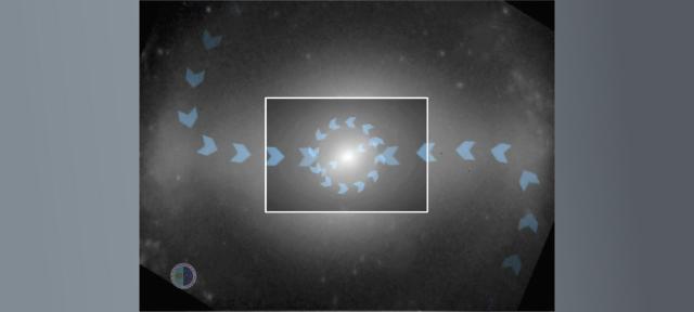 Dynamics of the central bar of a barred galaxy