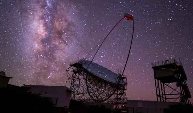 Perseids on MAGIC telescope