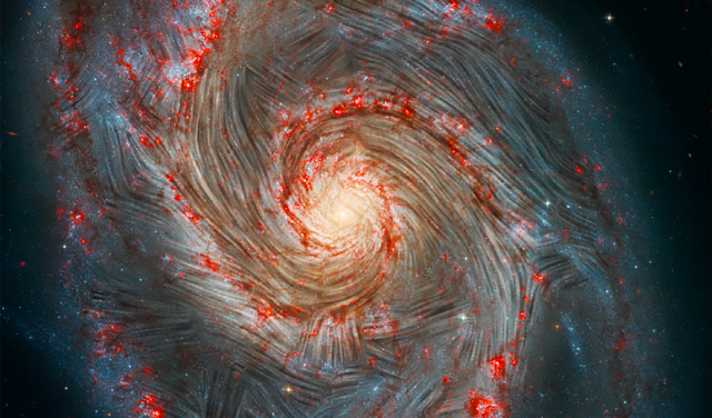 The lines of flow of the magnetic field detected with SOFIA are shown superposed on an image of the Whirlpool Galaxy (M51), by NASA’s Hubble Space Telescope. Credits: NASA, the SOFIA science team, A. Borlaff; NASA, ESA, S. Beckwith (STScI) and the Hubble Heritage Team (STScI/AURA).