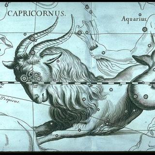 Constelación de Capricornus, del mapa Firmamentum Sobiescianum sive Uranographia (1690) del astrónomo Johannes Hevelius.