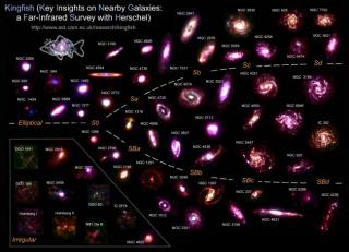 The radio observations were based on the KINGFISH (“Key Insights on Nearby Galaxies: a Far-Infrared Survey with Herschel”) sample of galaxies. The compilation shows composite infrared images of these galaxies created from Spitzer (SINGS) and Herschel (KIN The radio observations were based on the KINGFISH (“Key Insights on Nearby Galaxies: a Far-Infrared Survey with Herschel”) sample of galaxies. The compilation shows composite infrared images of these galaxies created from Spitzer (SINGS) and Herschel (KIN