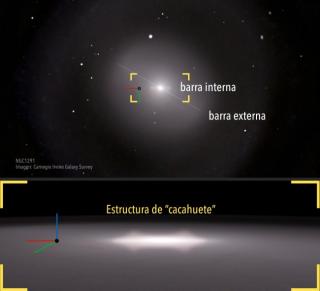 Galactic composition of NGC 1291 in which its "peanut" structure is shown. Credit:  Gabriel Pérez Díaz, SMM (IAC).