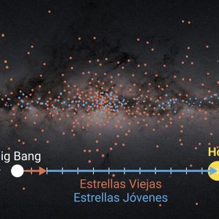 Distribution and arrangement of stars in the Milky Way’s disc