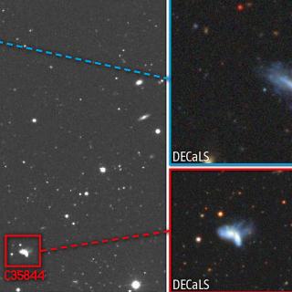Rare pair of interacting dwarf galaxies observed by the CAVITY project