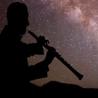 Presentation of the video recorded by the Tenerife Symphony at the Grantecan. Credit: Cabildo de La Palma Presentation of the video recorded by the Tenerife Symphony at the Grantecan. Credit: Cabildo de La Palma