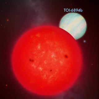 Imagen del sistema TOI-6894 / IAC