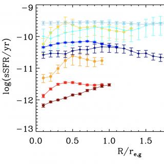 Perfiles radiales de la tasa de formación de estrellas (por unidad de masa) para los bulbos (colores rojizos) y los discos (colores azulados) en nuestra muestra de ETG. Los diferentes perfiles representan la distribución promedio de la tasa de formación estelar específica para los bulbos y discos dentro de cuatro rangos de masa diferentes. Los perfiles radiales promediados se han normalizado al radio efectivo de la galaxia.