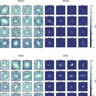 Simulated and real galaxies Thumbnails of TNG50 (top left) and SDSS (bottom left) quenched galaxies. The top and bottom right panels show the pixel-wise contributions to the log-likelihood ratio (LLR) for the TNG50 and SDSS galaxies, respectively. See Zanisi et al. (2021) for more details.
