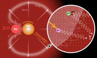 Scheme of RS Ophiuchi Scheme of RS Ophiuchi. Matter from the red giant and captured by the white dwarf generates a thermonuclear explosion on the surface of the latter. The ejected material creates a shock wave where particles are accelerated that produce the gamma radiation. Credit G. Pérez-IAC