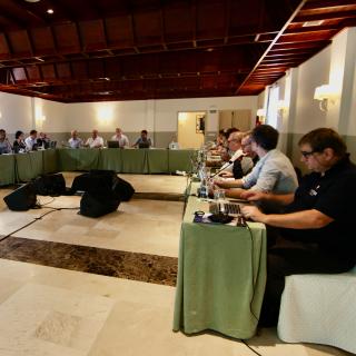 Comité Científico Internacional (CCI) de los Observatorios de Canarias