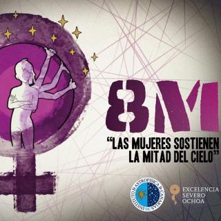 8M 8M