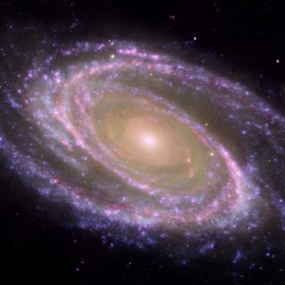 An example of a nearby spiral galaxy, M81, where the bulge is easily identified as the central redder part, and the disc, dotted with zones where stars are currently forming and appear as blue regions forming spiral arms. Credit: NASA/JPL-Caltech/ESA/Harvard-Smithsonian CfA.