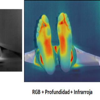 Las tres imágenes que obtiene la aplicación PINRELL se combinan en una sola. Crédito: IACTEC.