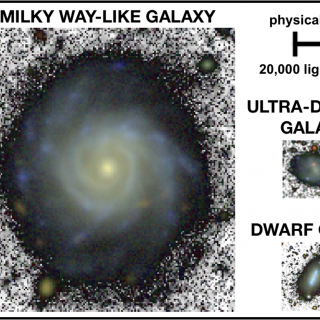 Caption (Spanish): Una galaxia como la Vía Láctea, una enana y una galaxia ultra-difusa mostradas a la misma escala física usando imágenes de profundidad similar. En promedio, las galaxias ultra-difusas son diez veces mas pequeñas que las galaxias como la Vía Láctea. Crédito: Adaptación de Chamba, Trujillo & Knapen (2020).