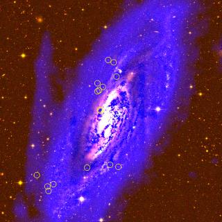 Imagen en falso color de M106. Credit: Divakara Mayya (INAOE). Imagen en falso color de M106. Credit: Divakara Mayya (INAOE).