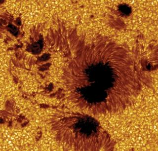 Grupo de manchas solares en la superficie del Sol obtenidas con el Telescopio Solar Sueco, del Observatorio del Roque de los Muchachos (La Palma). Autores: Göran Scharmer y Mats Löfdahl (ISP). 8433