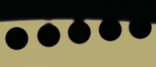 Figure 1. Black drop effect during contact inside the transit of Venus June 2004. Although the effect is less visible in the transits of Mercury it can also be seen just in the second and third contact (credits J.C. Casado starryearth). Figure 1. Black drop effect during contact inside the transit of Venus June 2004. Although the effect is less visible in the transits of Mercury it can also be seen just in the second and third contact (credits J.C. Casado starryearth).